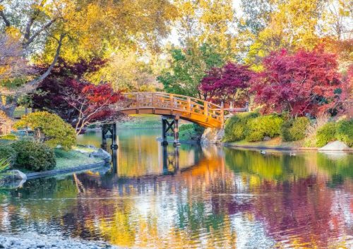 Midwest Botanical Garden - Bluebird 70444 - 1500 db-os puzzle