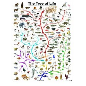   The Tree of Life - Eurographics 6000-0282 - 1000 db-os puzzle