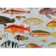 Aquatic - 1000 darabos puzzle - Cloudberries