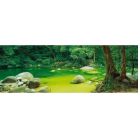   Mossman Gorge, Queensland, Australia, 1000 db (59864) (59286) Panoramapuzzle