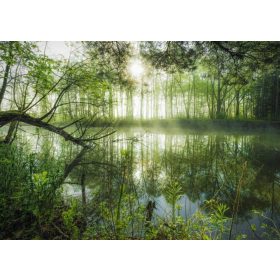 Homeland jungle, 1000 pcs (59670) Heimatdschungel