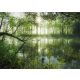 Homeland jungle, 1000 pcs (59670) Heimatdschungel