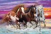Trio of wild horses, 200 pcs (56356) Wildes Pferde-Trio