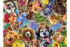 Ravensburger 15042 - Állati arcok- 500 db-os puzzle