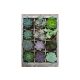 Puzzle 300 db - Zöld