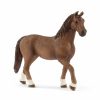 Schleich Horse Club Lakeside lovarda