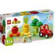 LEGO DUPLO My First 10982 Gyümölcs- és zöldségtraktor