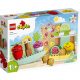 LEGO DUPLO My First 10983 Biopiac
