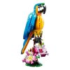 LEGO Creator 31136 Egzotikus papagáj