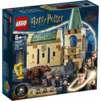 Kép 1/5 - LEGO Harry Potter TM Roxfort™: Találkozás Bolyhoskával 76387