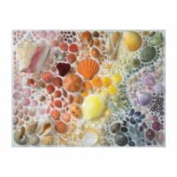 Kép 1/3 - Rainbow Seashells 2000 db-os puzzle Galison