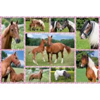 Kép 1/2 - Pferdeträume 150 db (56269) Beautiful Horses, 150 pcs