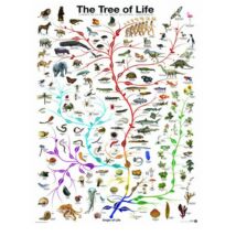 The Tree of Life - Eurographics 6000-0282 - 1000 db-os puzzle