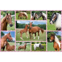 Pferdeträume 150 db (56269) Beautiful Horses, 150 pcs