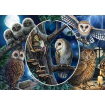 Mysterious owls, 1000 pcs (59667) Geheimnisvolle Eulen