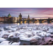 Prague Swans, 1000 db (59695) Prag Schwäne