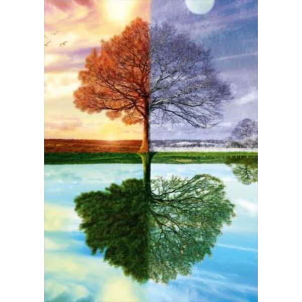 The seasons tree - Schmidt 58223 - 500 db-os puzzle