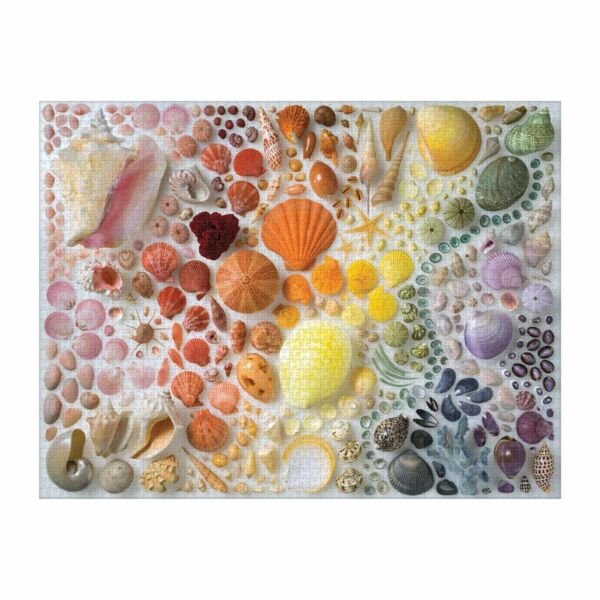 Rainbow Seashells 2000 db-os puzzle Galison