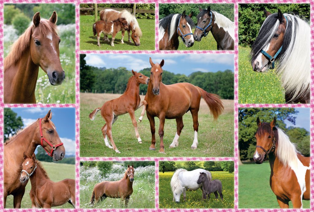 Beautiful Horses 150 db (56269)
